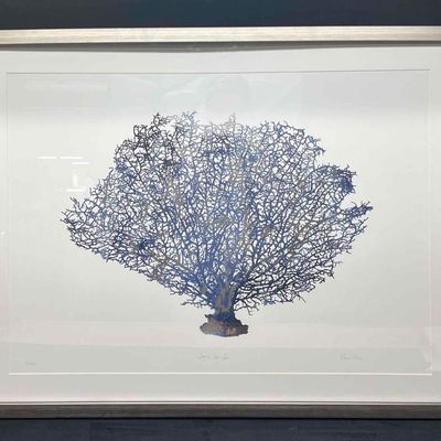 Sale Photo Thumbnail #458: Framed Signed & Numbered Artwork Lapis Sea Fan By Devon Ross 81/3600