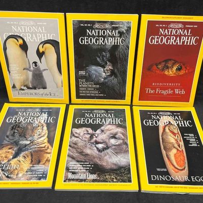 Sale Photo Thumbnail #344: 6 National Geographic Magazines 5 From the 90's & 1 80's.