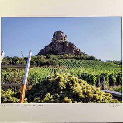 Sale Photo Thumbnail #368: Matted Frank Juge Chardonnay Harvest Photo