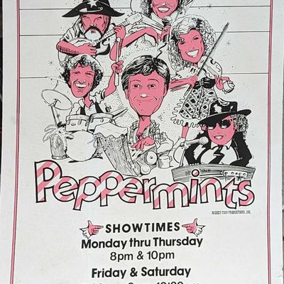 Sale Photo Thumbnail #308: Vintage Mickey Finn's Peppermints Show Sign
