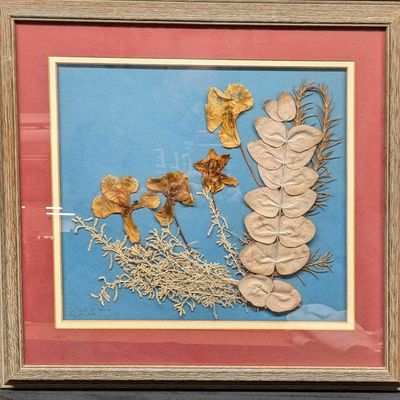 Sale Photo Thumbnail #294: Framed St Paul De Vence Pressed Dried Flowers Artwork