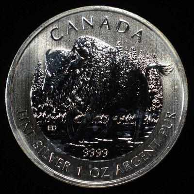 2013 CANADA 1 OZ .999 SILVER ROUND