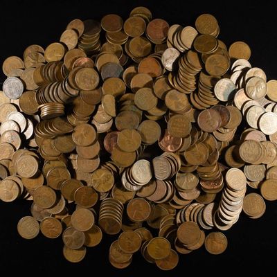 (500) WHEAT CENTS