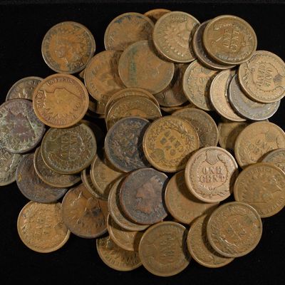 (50) INDIAN CENTS