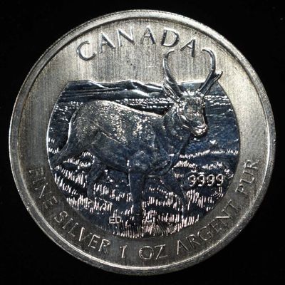 2013 $5 CANADA 1 OZ .999 SILVER ROUND