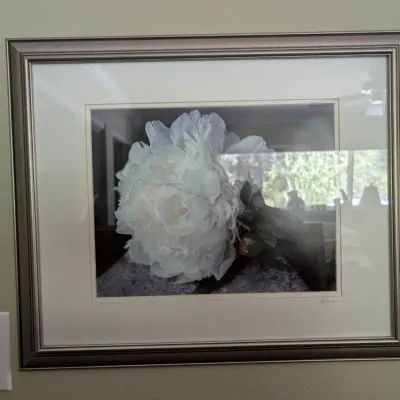 Sale Photo Thumbnail #339