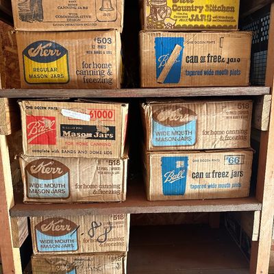 Lots of canning jars