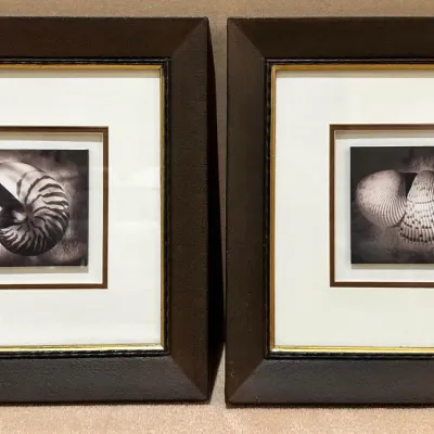 Sale Photo Thumbnail #101