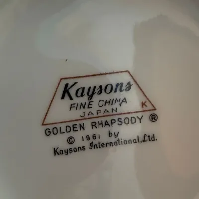 Kaysons Golden Rhapsody Fine China Set 