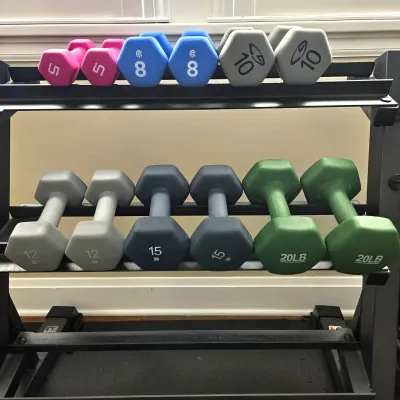Sale Photo Thumbnail #111: Black metal dumbbell rack featuring pairs of color-coded neoprene-coated weights ranging from 5 to 20 pounds, in good used condition.