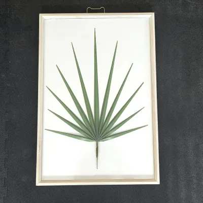 Sale Photo Thumbnail #112: Framed botanical wall art featuring a pressed palm frond under glass in a light wood frame.