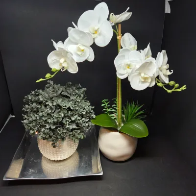 Sale Photo Thumbnail #66: Potted artificial white orchid arrangement in a ceramic bowl alongside a small faux boxwood topiary sitting on a rectangular metallic tray.