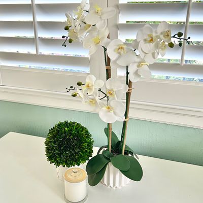 Sale Photo Thumbnail #92: Potted artificial white orchid arrangement set in a fluted white ceramic planter, displayed alongside a faux boxwood topiated sphere and a lidded glass candle jar.