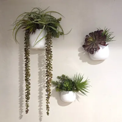 Sale Photo Thumbnail #52: Set of three wall-mounted white ceramic planters filled with artificial succulents and trailing greenery.