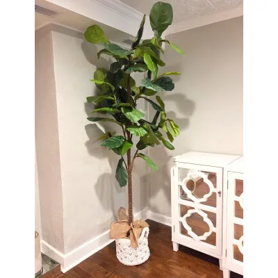 Sale Photo Thumbnail #54: Tall artificial fiddle leaf fig tree in a woven basket pot wrapped with burlap fabric.