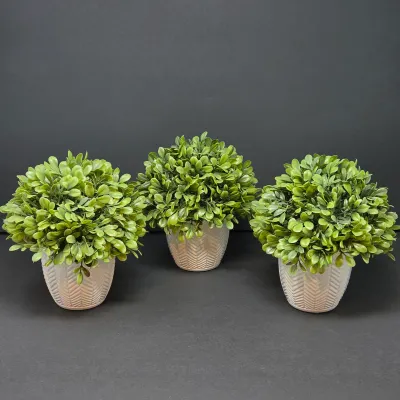 Sale Photo Thumbnail #60: Trio of artificial topiary boxwood potted plants set in textured white ceramic containers.