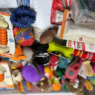 Huge Dog Toy & Chew Lot - Nylabone, Greenies, Durable Rubber, Plush, Spiky Balls