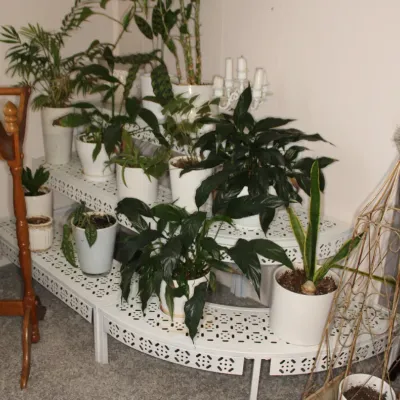 Sale Photo Thumbnail #318
