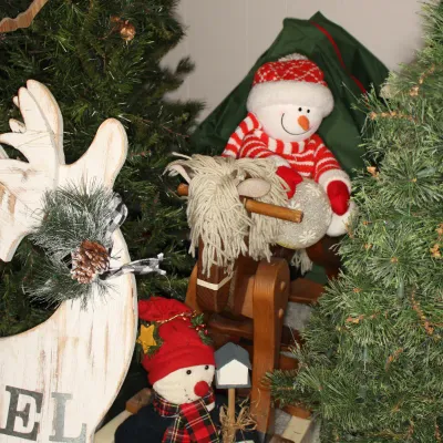 Sale Photo Thumbnail #336