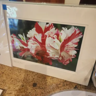 Sale Photo Thumbnail #152