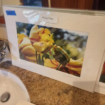 Sale Photo Thumbnail #151