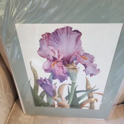 Sale Photo Thumbnail #214
