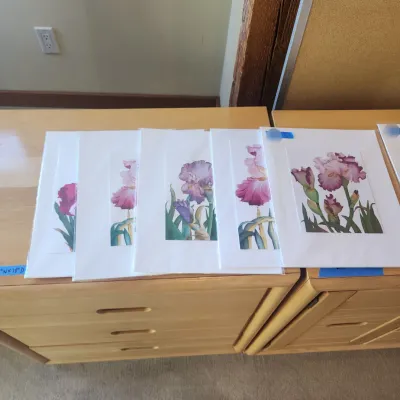 Sale Photo Thumbnail #146