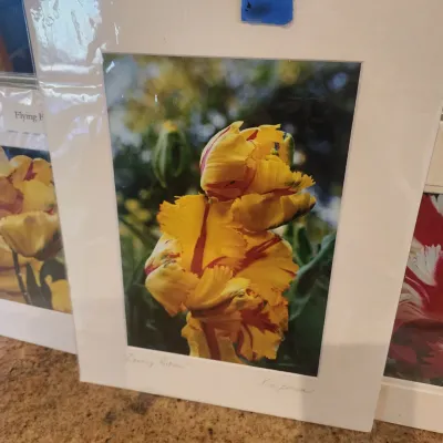Sale Photo Thumbnail #150