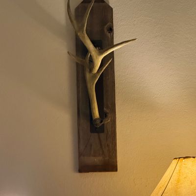 Sale Photo Thumbnail #276