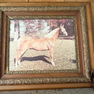 Sale Photo Thumbnail #147