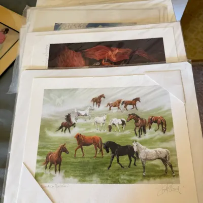 Sale Photo Thumbnail #170