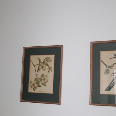 Sale Photo Thumbnail #7: Pair of framed vintage botanical and nature prints, featuring a dogwood blossom illustration, matted in dark green with simple wood frames.