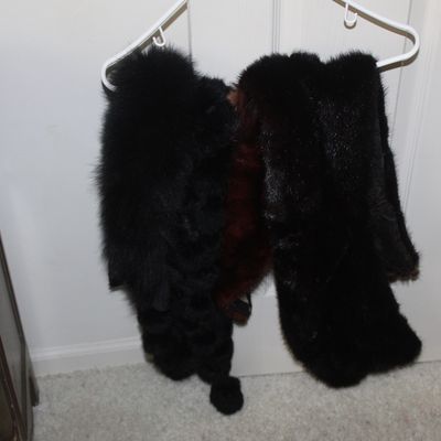 Sale Photo Thumbnail #44: Vintage black and dark brown fur stoles hanging on a white plastic hanger.