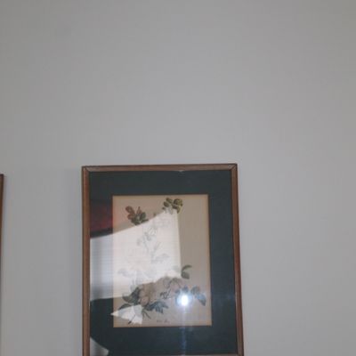 Sale Photo Thumbnail #5: Framed botanical print featuring a rose illustration, matted in dark green and housed in a simple wooden frame.