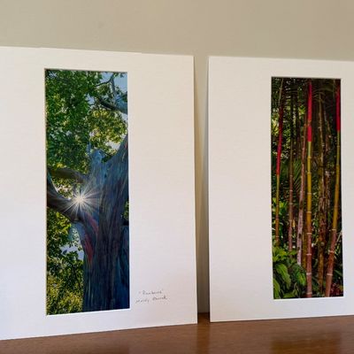Sale Photo Thumbnail #66