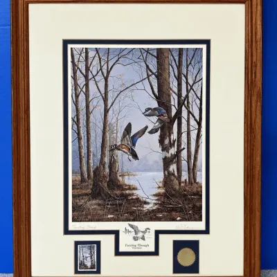 Twisting Through Wood Ducks By Bill Pendergrass