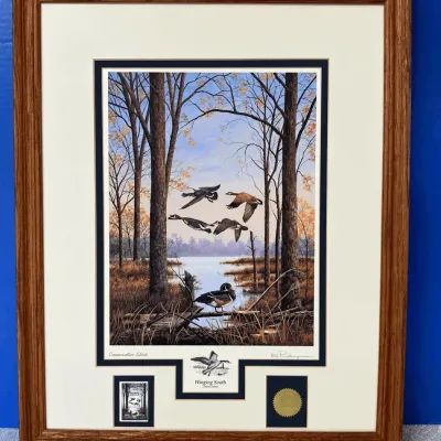 Winging South Canada Geese By Bill Pendergrass