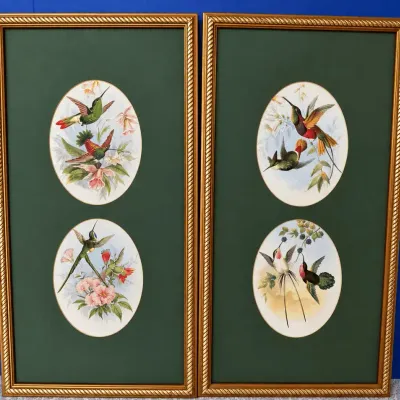 Hummingbird Prints