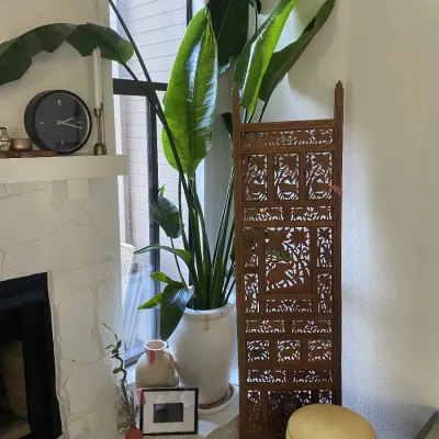 Sale Photo Thumbnail #2: Bamboo artist panel, birds of paradise plant, ottoman, clock, candles and more