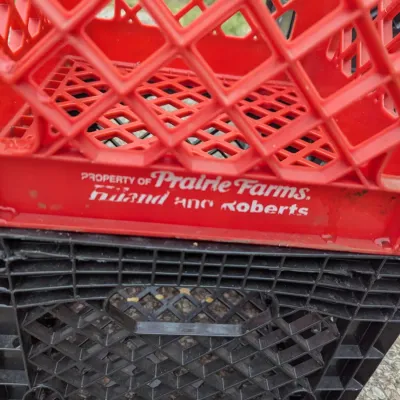 Vintage Plastic Milk Crates - Set of 4