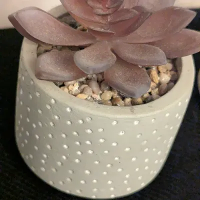 Pair of Faux Succulents in Dotted Cement Pots