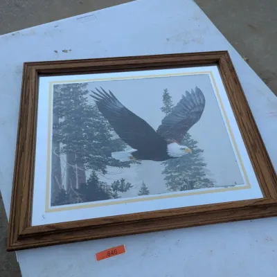 Jan Martin McGuire "Eagle Rectangle" Framed Print
