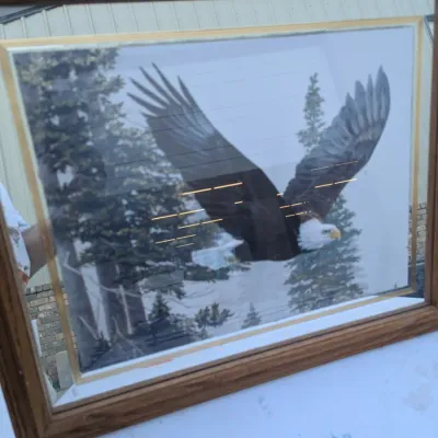 Jan Martin McGuire "Eagle Rectangle" Framed Print