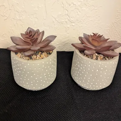 Pair of Faux Succulents in Dotted Cement Pots