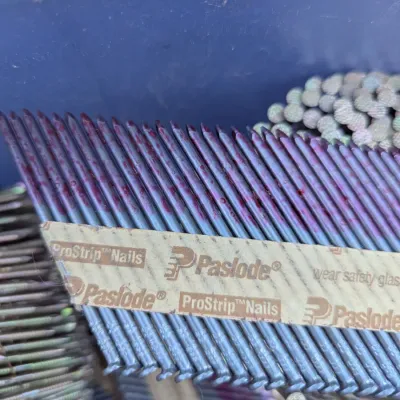 Assorted Framing & Coil Nails with Paslode ProStrip Nails in Tote