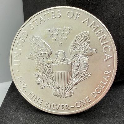 LOT 111: 2019 American Eagle 1 Ounce .999 Fine Silver Dollar Coin