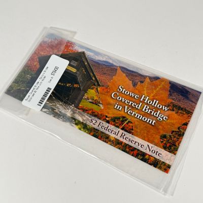 LOT 46: Art Overlaid US Bills - $1 and $2 Notes