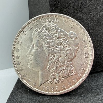LOT 113: 1889 Morgan Silver Dollar Coin