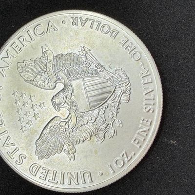 LOT 111: 2019 American Eagle 1 Ounce .999 Fine Silver Dollar Coin