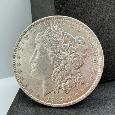 LOT 113: 1889 Morgan Silver Dollar Coin